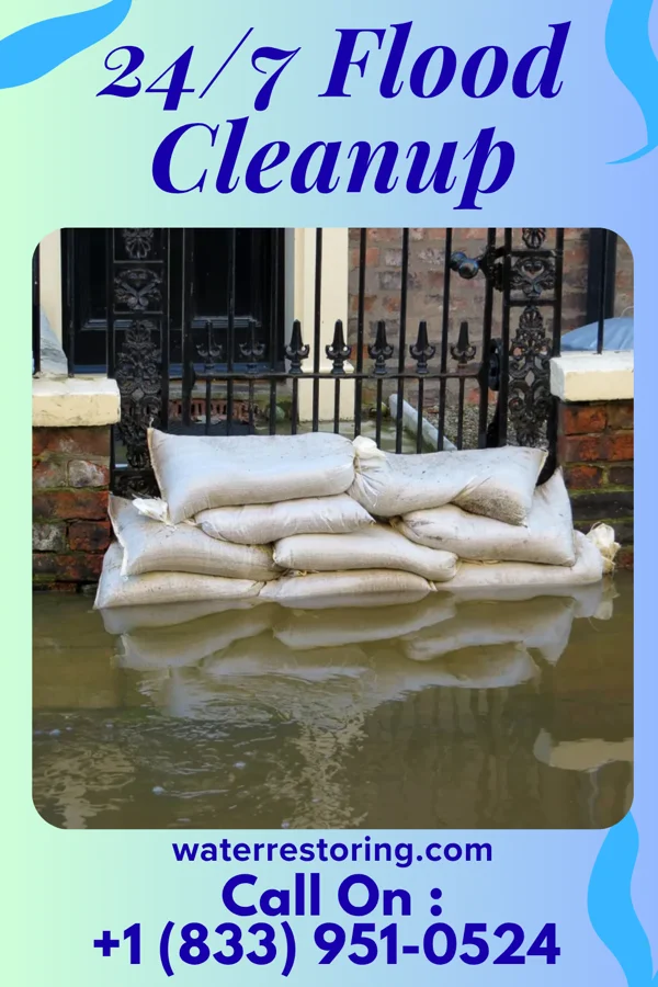 24/7 Flood Cleanup in Satellite Beach, FL