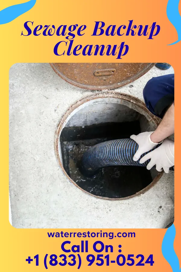 Sewage Backup Cleanup in Satellite Beach, FL