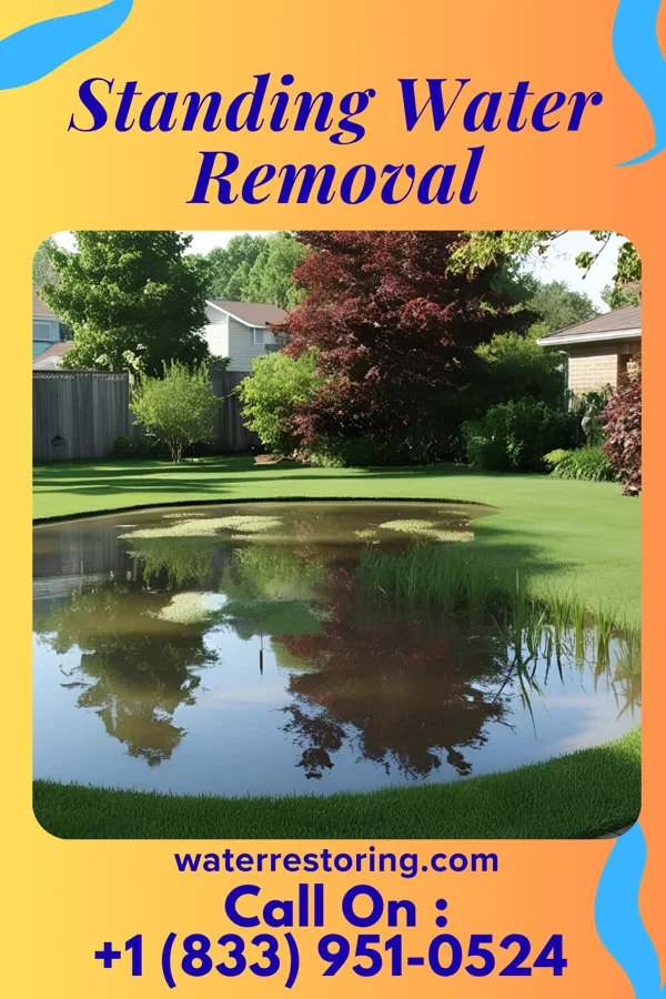 Standing Water Removal in Satellite Beach, FL